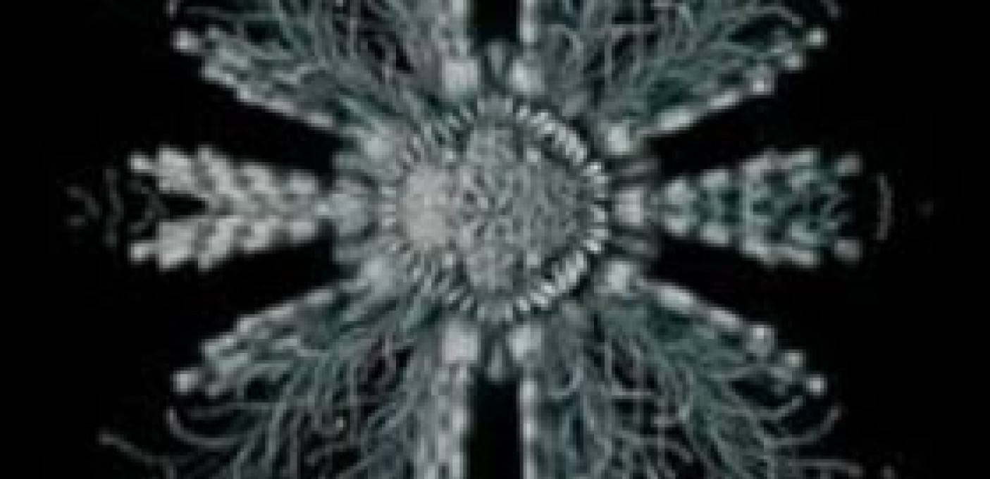 CREATURE WITH THE ATOM BRAIN + PARTS & LABOR